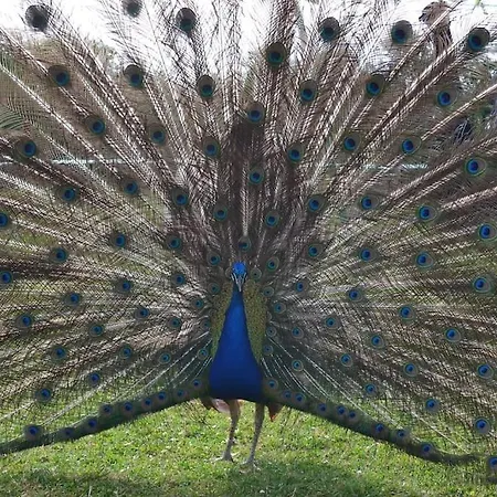 Couanac Familial A La Campagne Avec Piscine 別荘