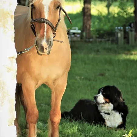 Couanac Familial A La Campagne Avec Piscine 別荘